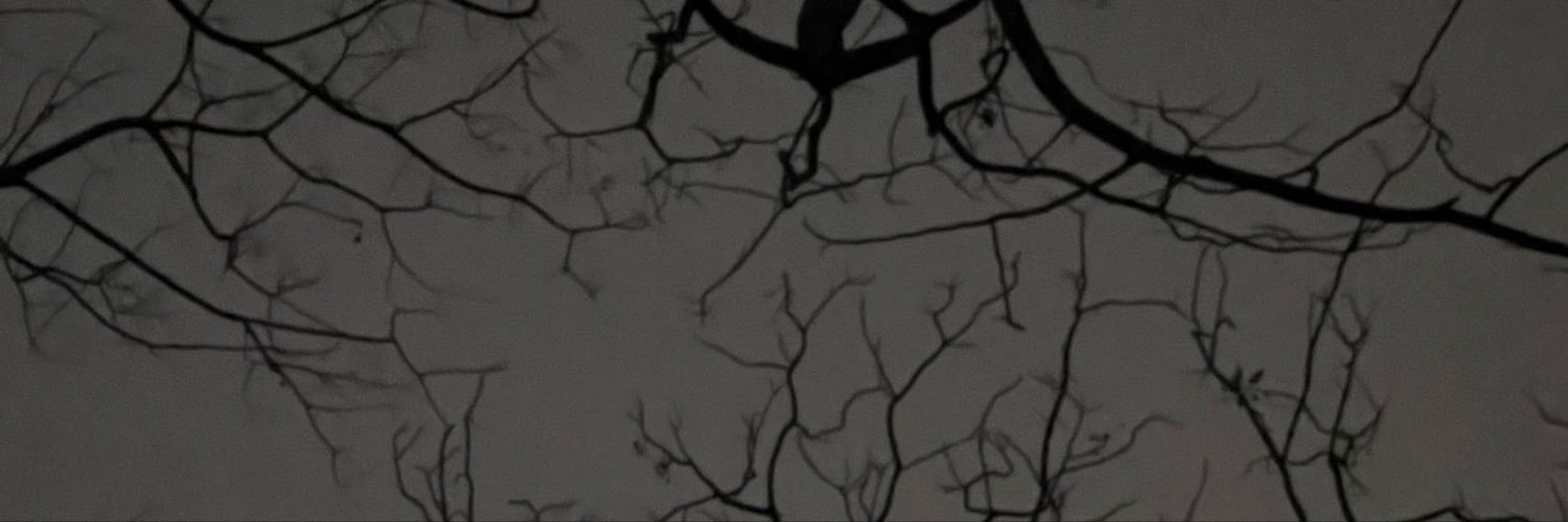 Qiu0049's profile banner image