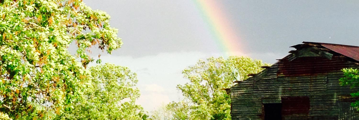 StaceyW68823506's profile banner image