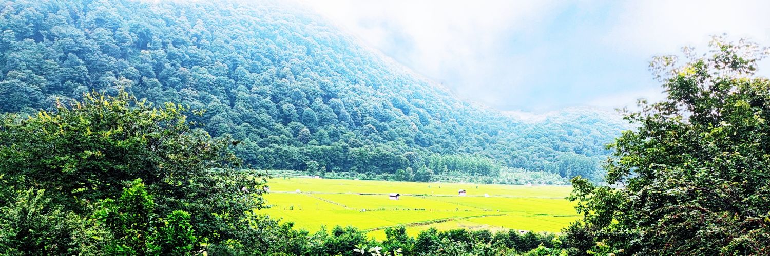 خسته banner
