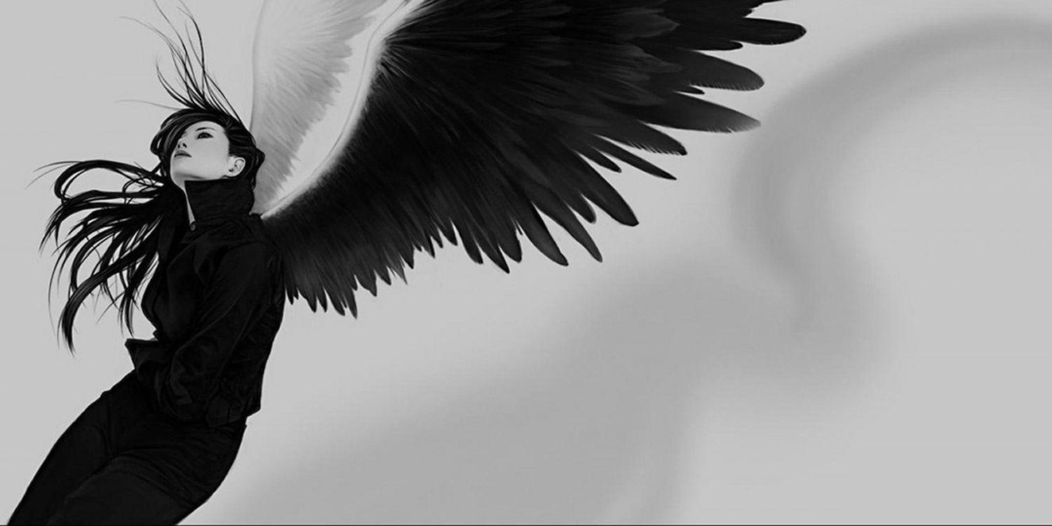 dueiza's profile banner image