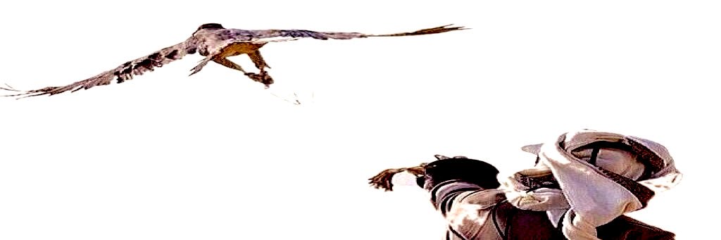 ccccq8's profile banner image
