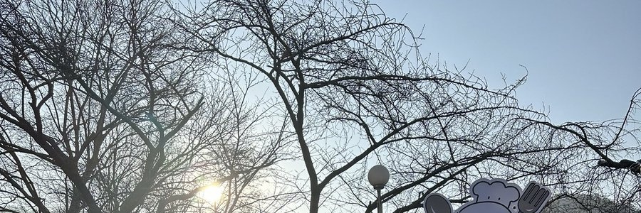 Cherryissolace's profile banner image