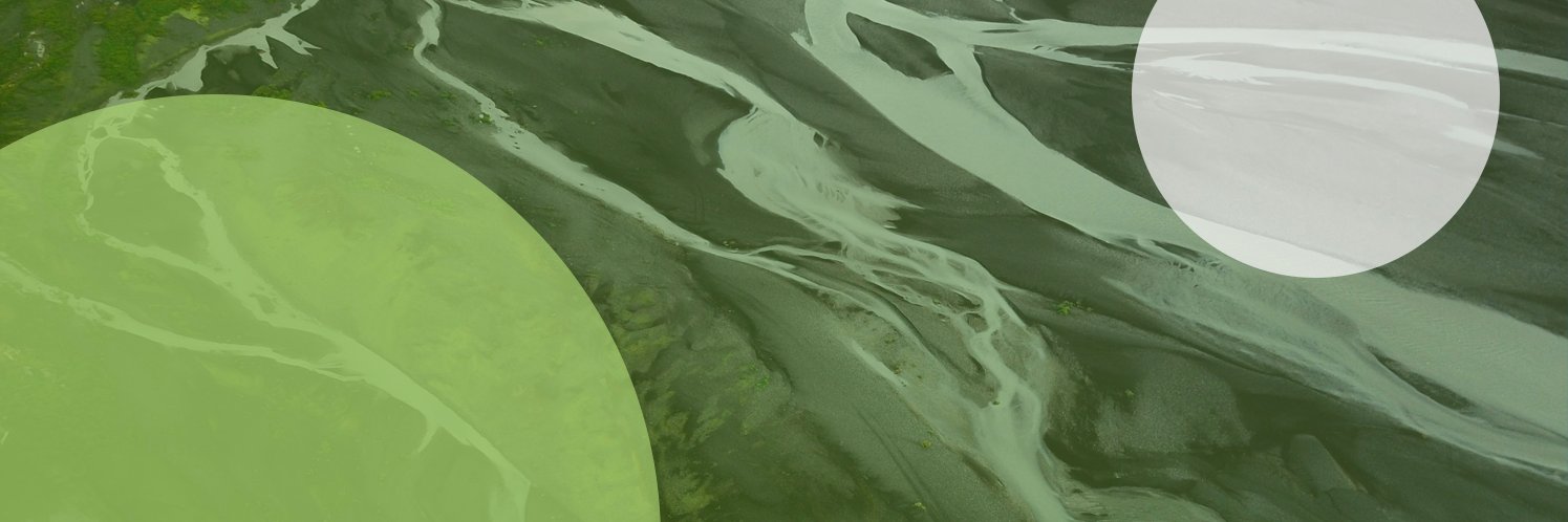 Sustainability Times banner