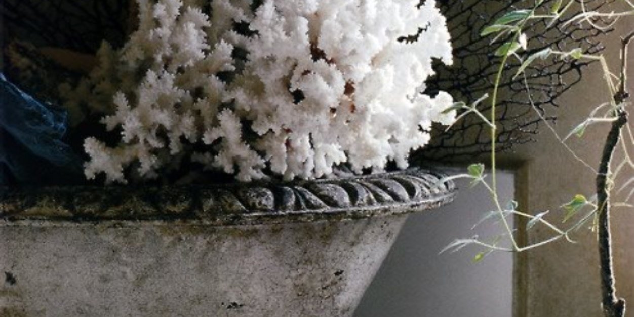SunshineStac's profile banner image