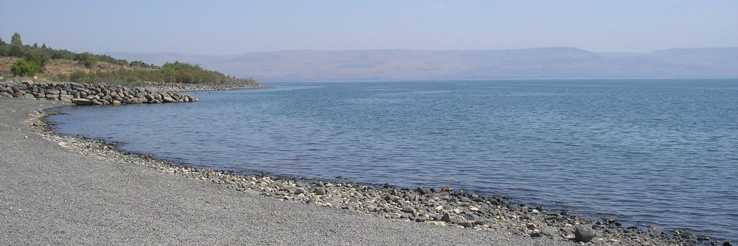 MagdalenRoss's profile banner image