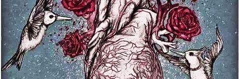 Gerard_petrel's profile banner image
