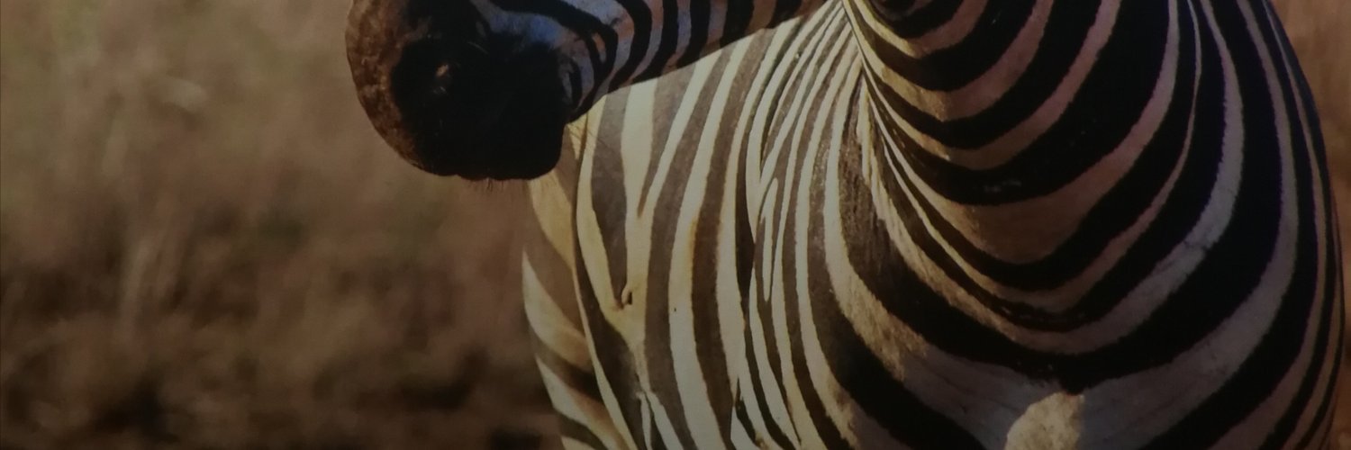 Sandy Engelhardt banner