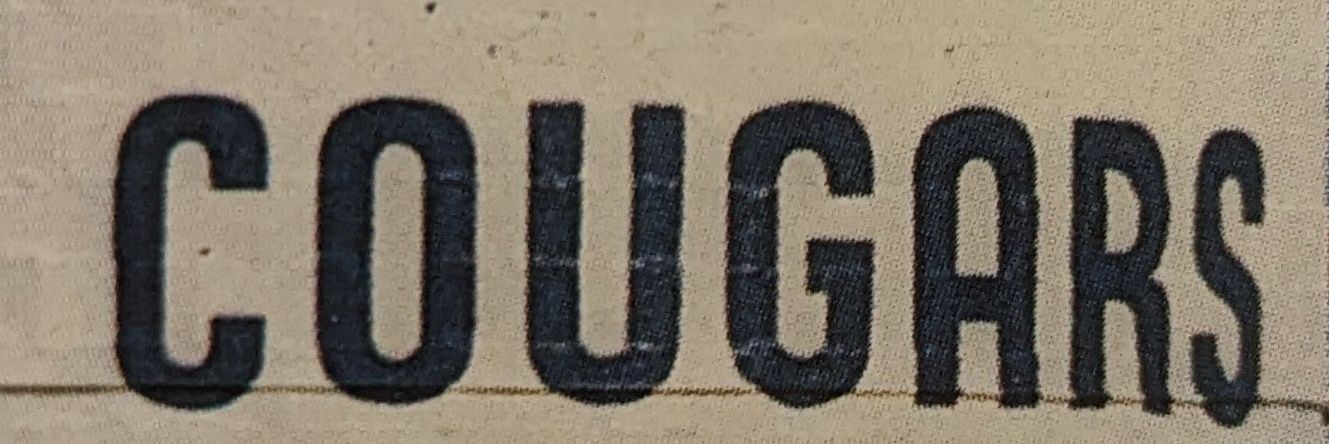 Dickson County High School Athletics banner