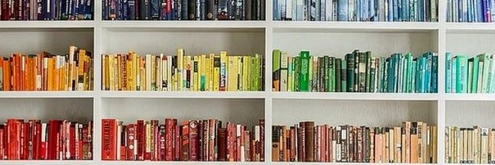 Virginia Soenksen banner