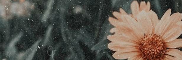 Erika_Salazar_'s profile banner image