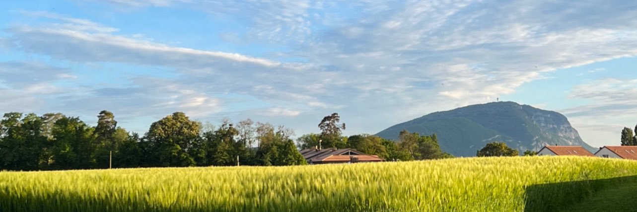 Albixci's profile banner image