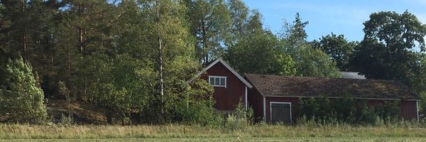 Seija Kairinen Profile Banner