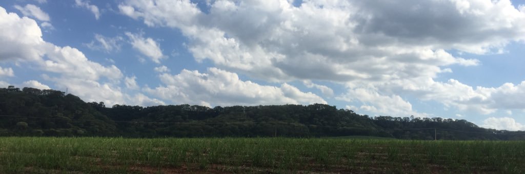 julix's profile banner image