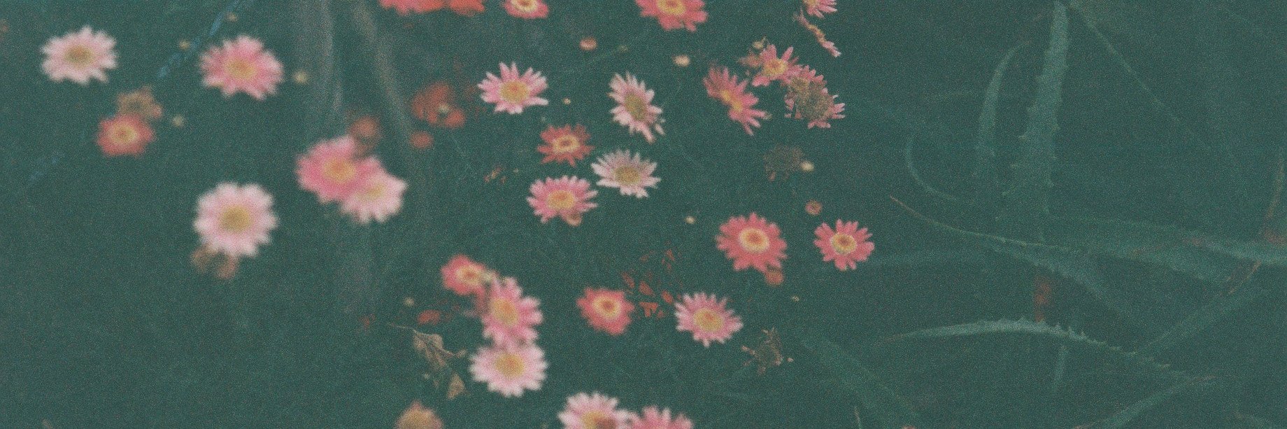 cpaz_26's profile banner image