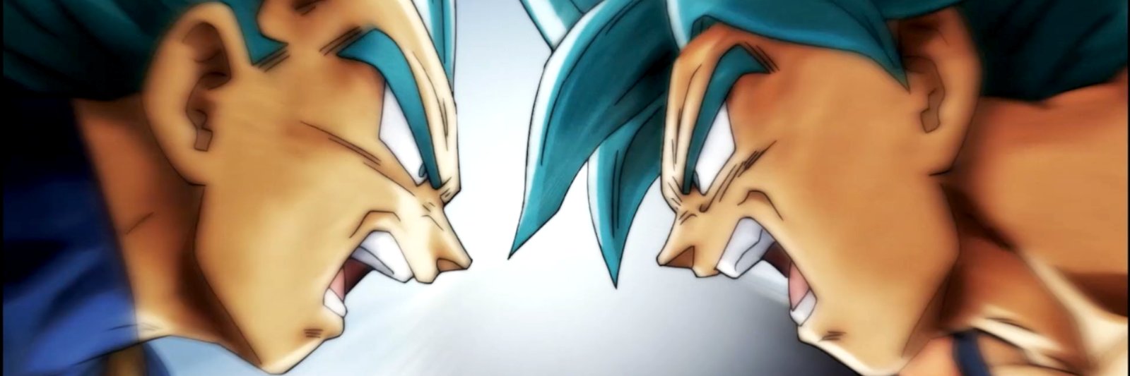 Steve B banner