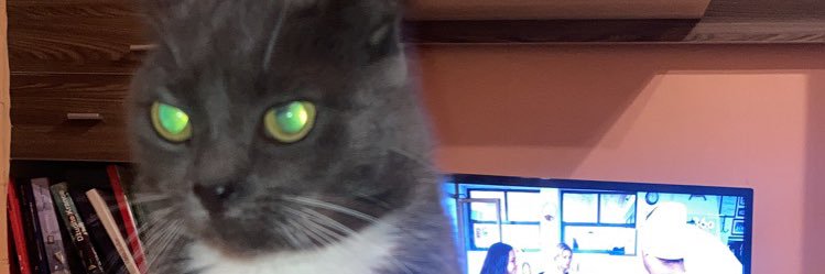 paulsjaa's profile banner image