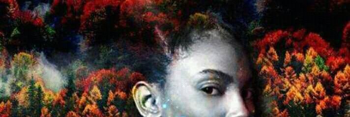 Marques_Gall's profile banner image