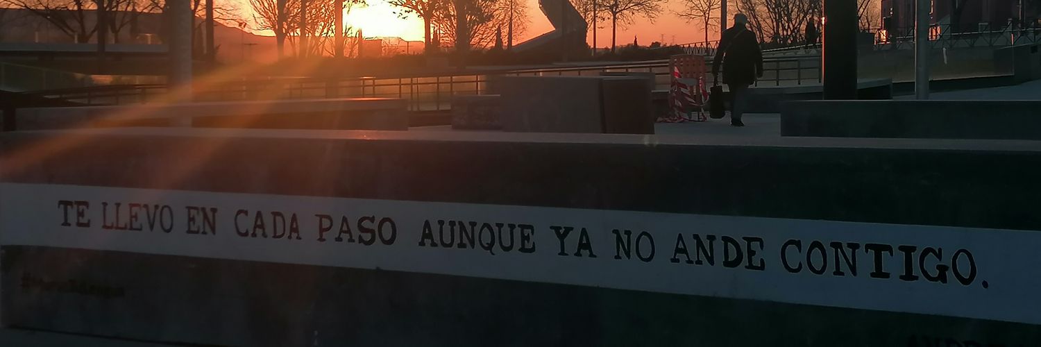 jvsalicio banner