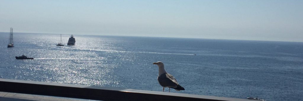 LauraPtlk's profile banner image