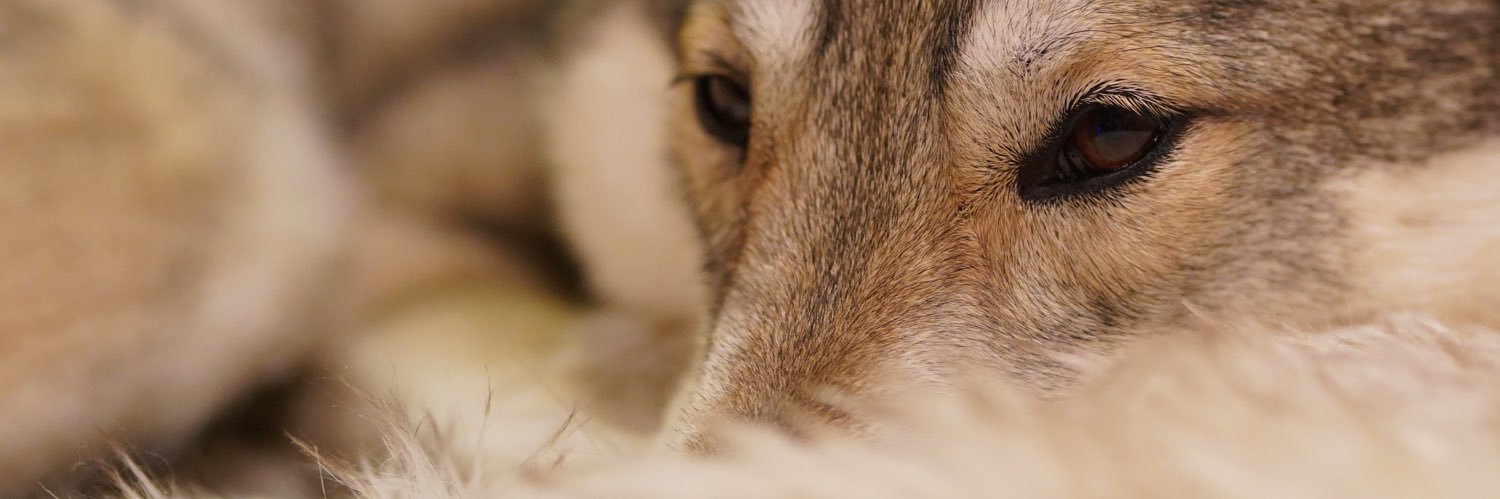 asymptotically matt banner