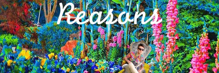 StackDaddy's profile banner image
