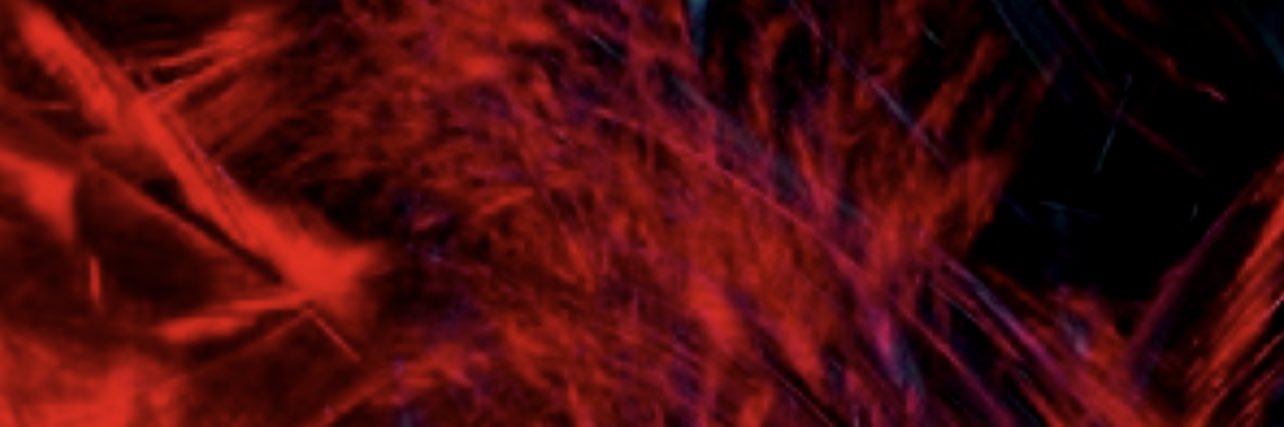 MJFOX55's profile banner image