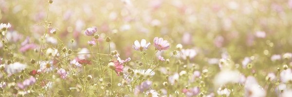 kepenekevrimm Profile Banner