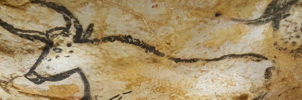 falias503 Profile Banner