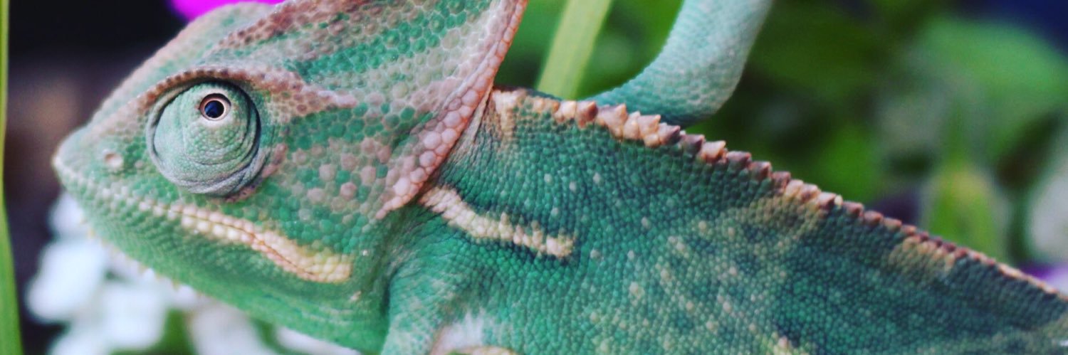 TeeEmEss's profile banner image