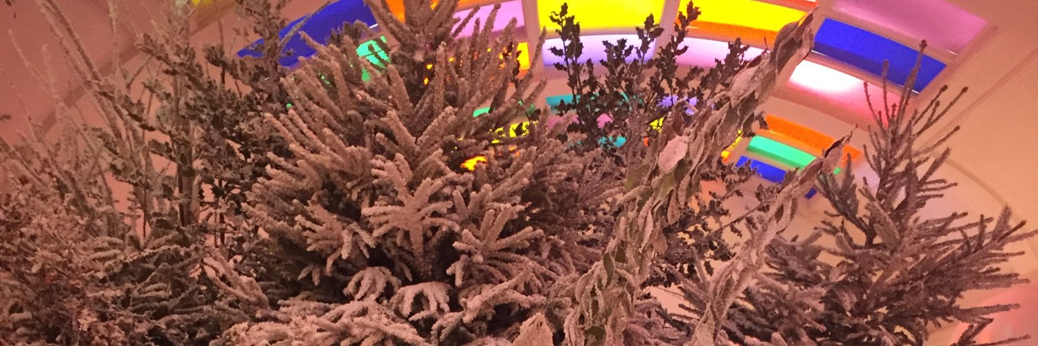 daisywdavis's profile banner image