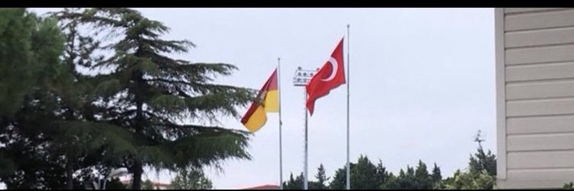 YD banner