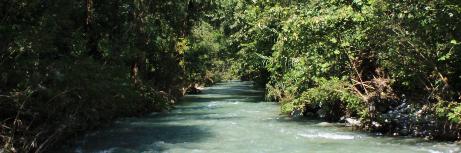 Carlos Daniel banner