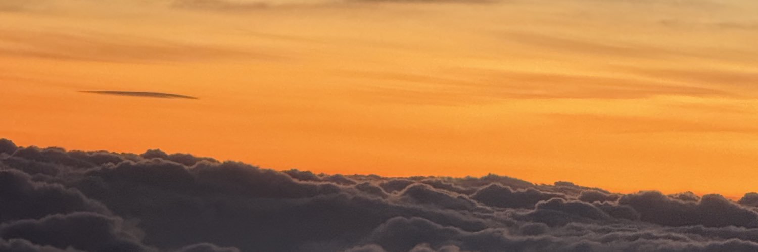 anasofirg's profile banner image