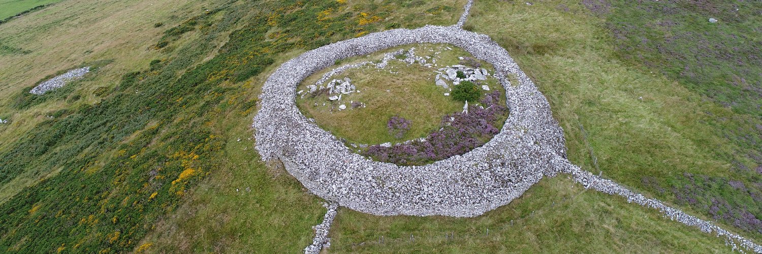 Institute of Archaeologists of Ireland (IAI)'s banner