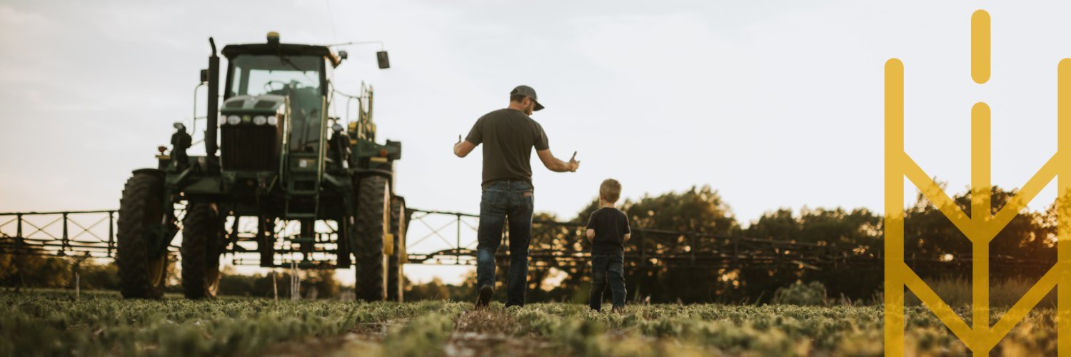 Palliser Insurance banner