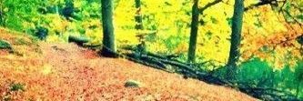Adbah21's profile banner image