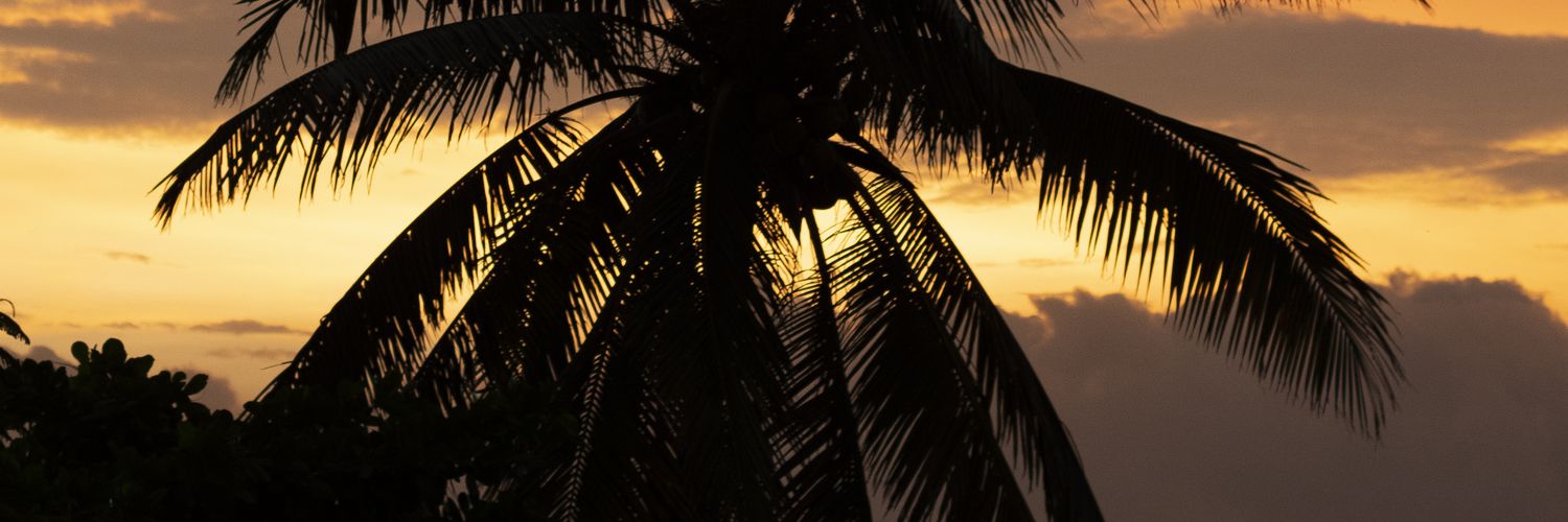 bustavo_'s profile banner image