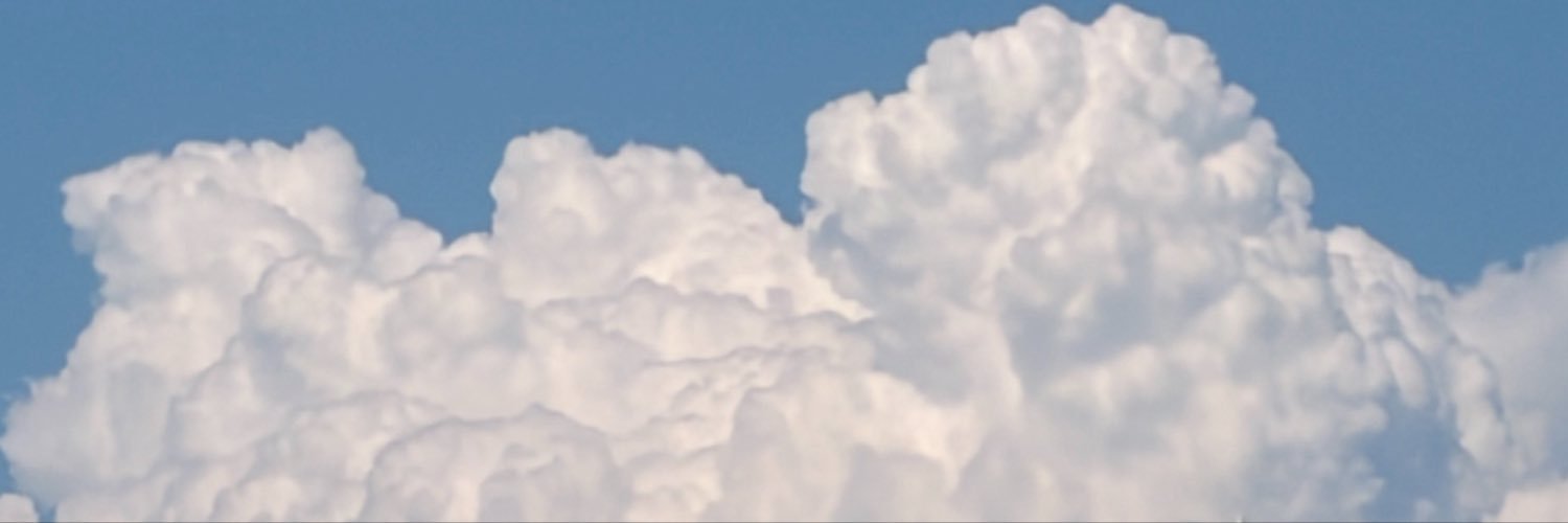 Cali_Rona's profile banner image