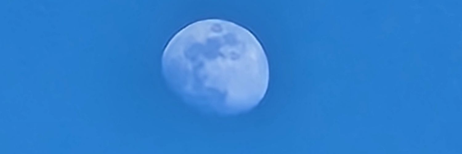 Moonlight banner