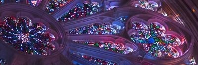 Elle banner