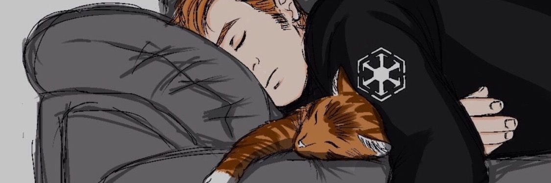 FirstOrdersCat's profile banner image
