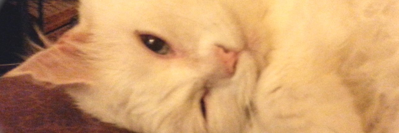 ChrisCPH's profile banner image