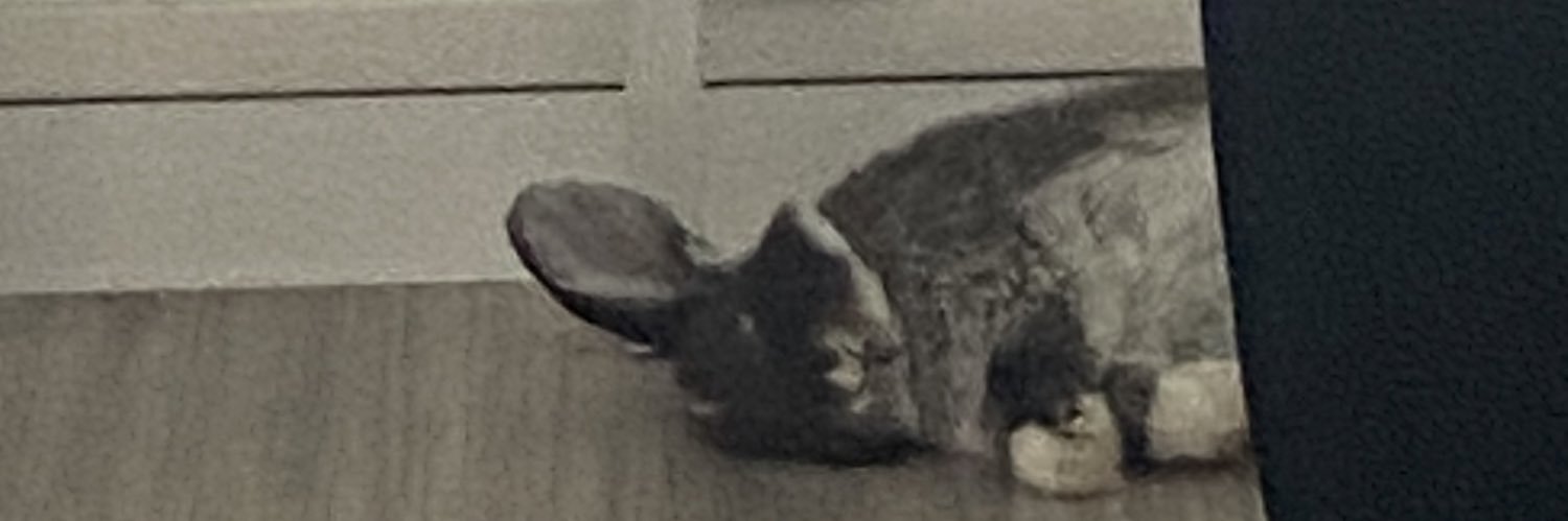 sarahbrhm_'s profile banner image
