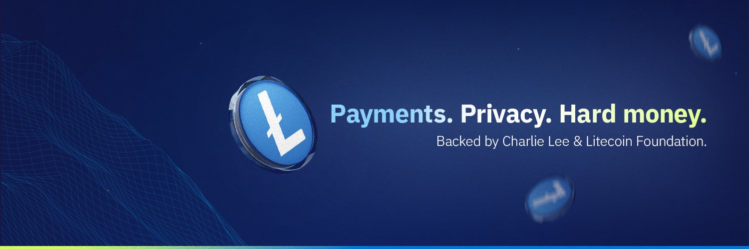 Lite Strategy banner