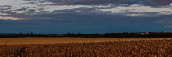 benjy_eagle Profile Banner