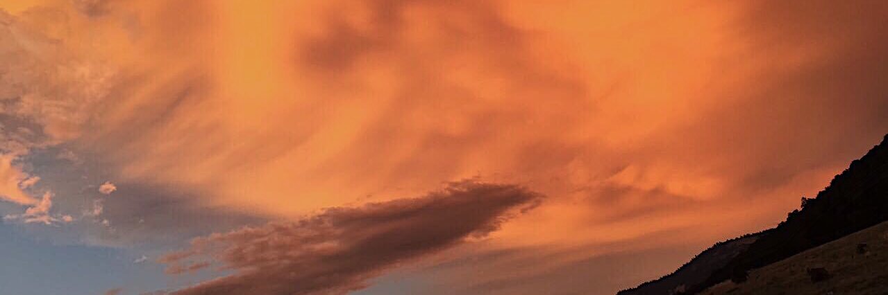 kaileylems's profile banner image