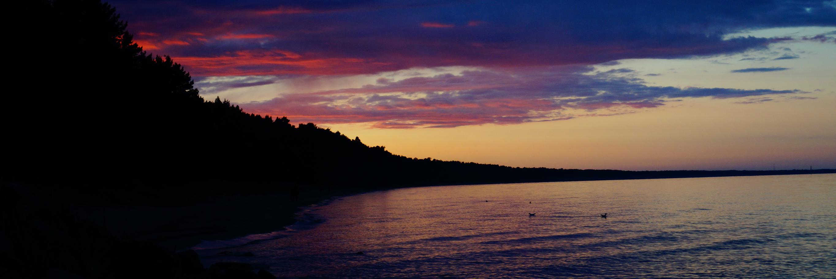 RedHare_awe's profile banner image