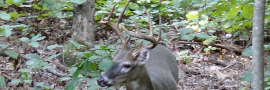 Jim Witherspoon banner