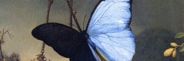 Rurubelle🦋 Profile Banner