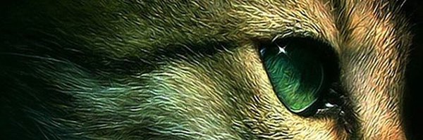 titanalejandro Profile Banner